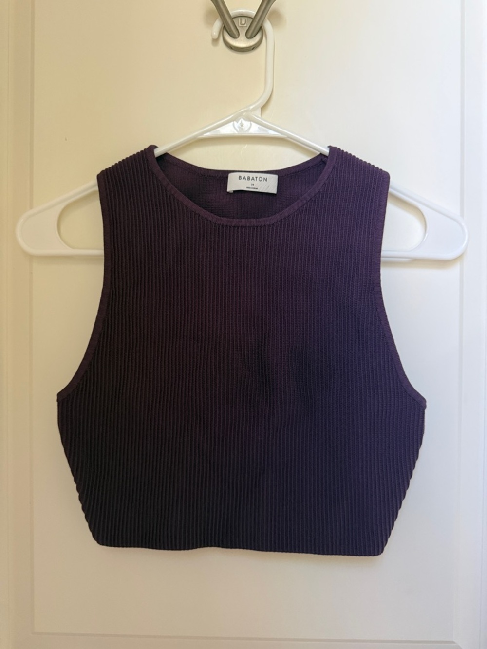 Babaton Deep Plum Ribbed Cropped Tank